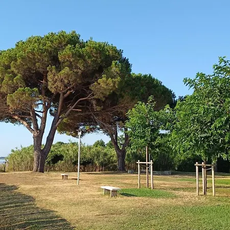 Vue Et Acces Direct Sur Et Piscine *